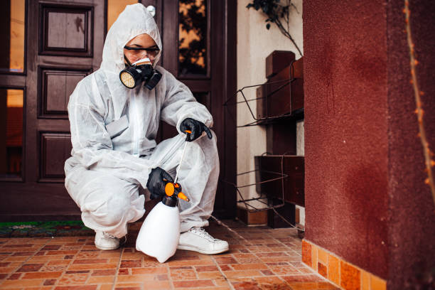 Reliable Cockroach Control contractor in Skidaway Island, GA by Nex Pest Control