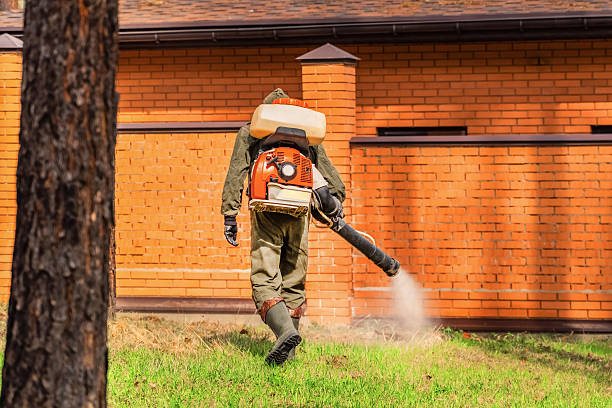 Trusted Ant Control service in Skidaway Island, GA - Nex Pest Control